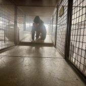 Besuch FTZ Mini-Retter Feuerwehr Lauenburg