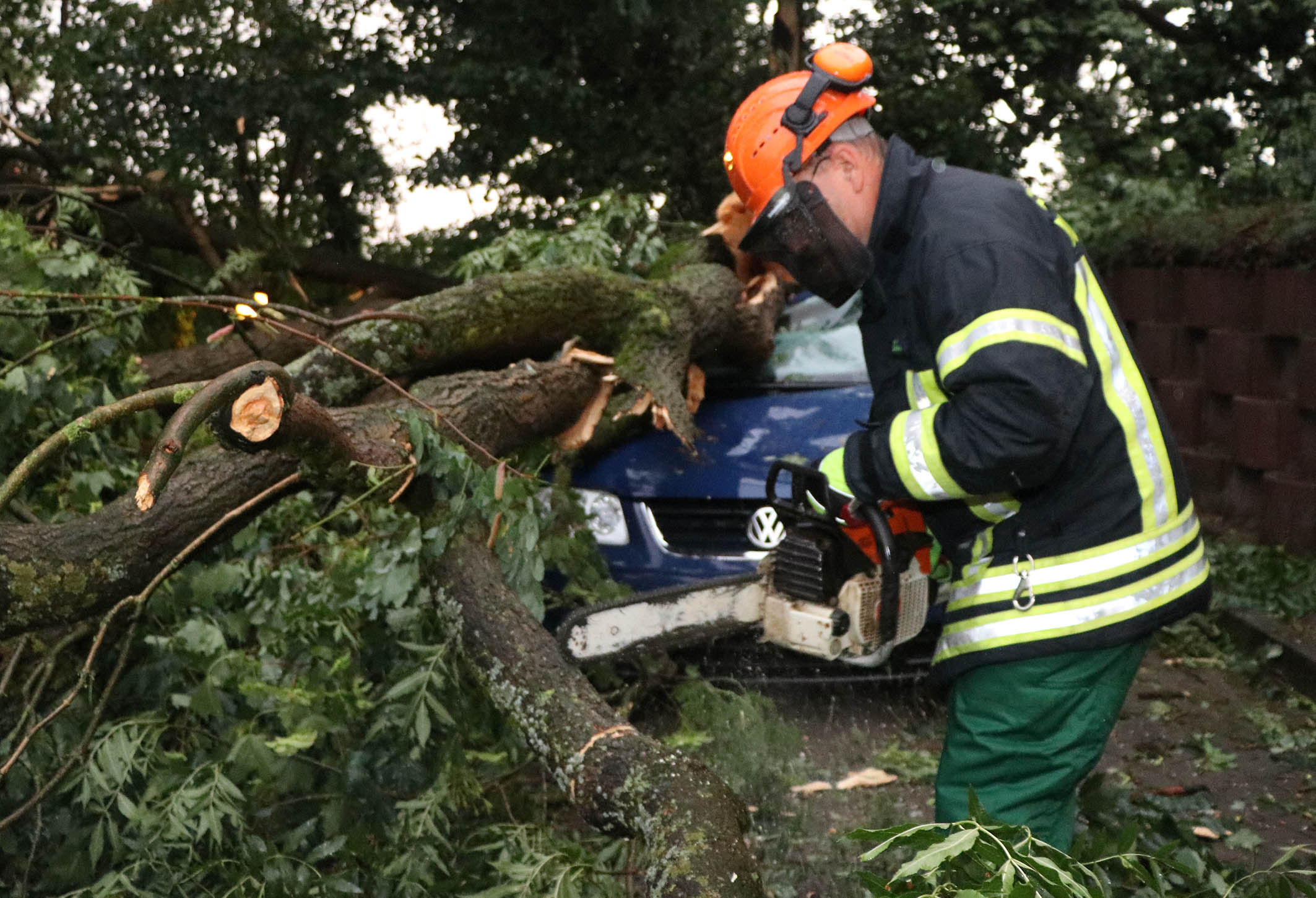 Guten Rutsch ins Jahr 2019 - 9