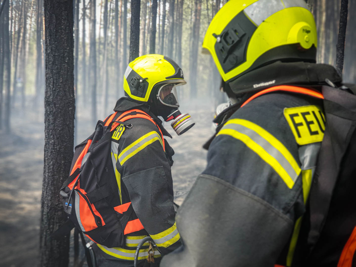 084/2019 FEU G WALD – Waldbrand - 12