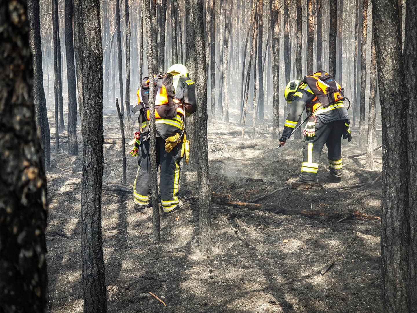 084/2019 FEU G WALD – Waldbrand - 4