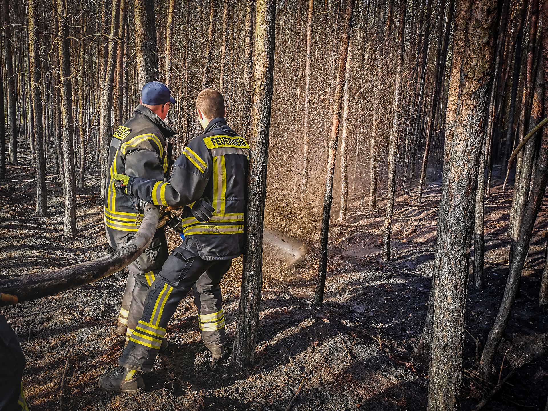 084/2019 FEU G WALD – Waldbrand - 7