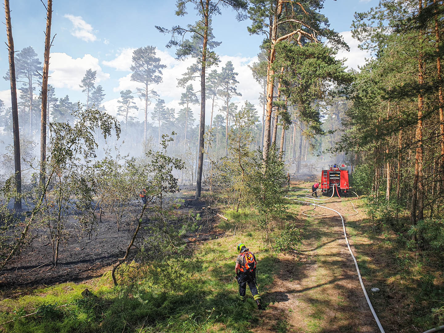 084/2019 FEU G WALD – Waldbrand - 9