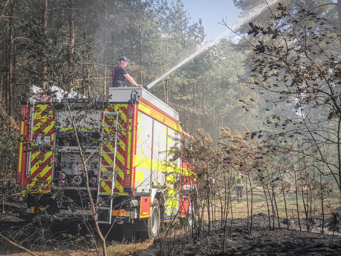 084/2019 FEU G WALD – Waldbrand - 10