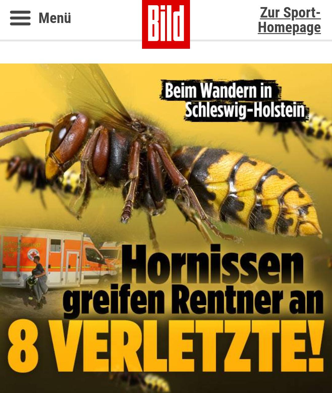 Guten Rutsch ins Jahr 2019 - 4